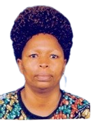 Evans Aquiline Shirima